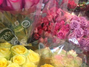 Sweet smells - walking by the display of roses.